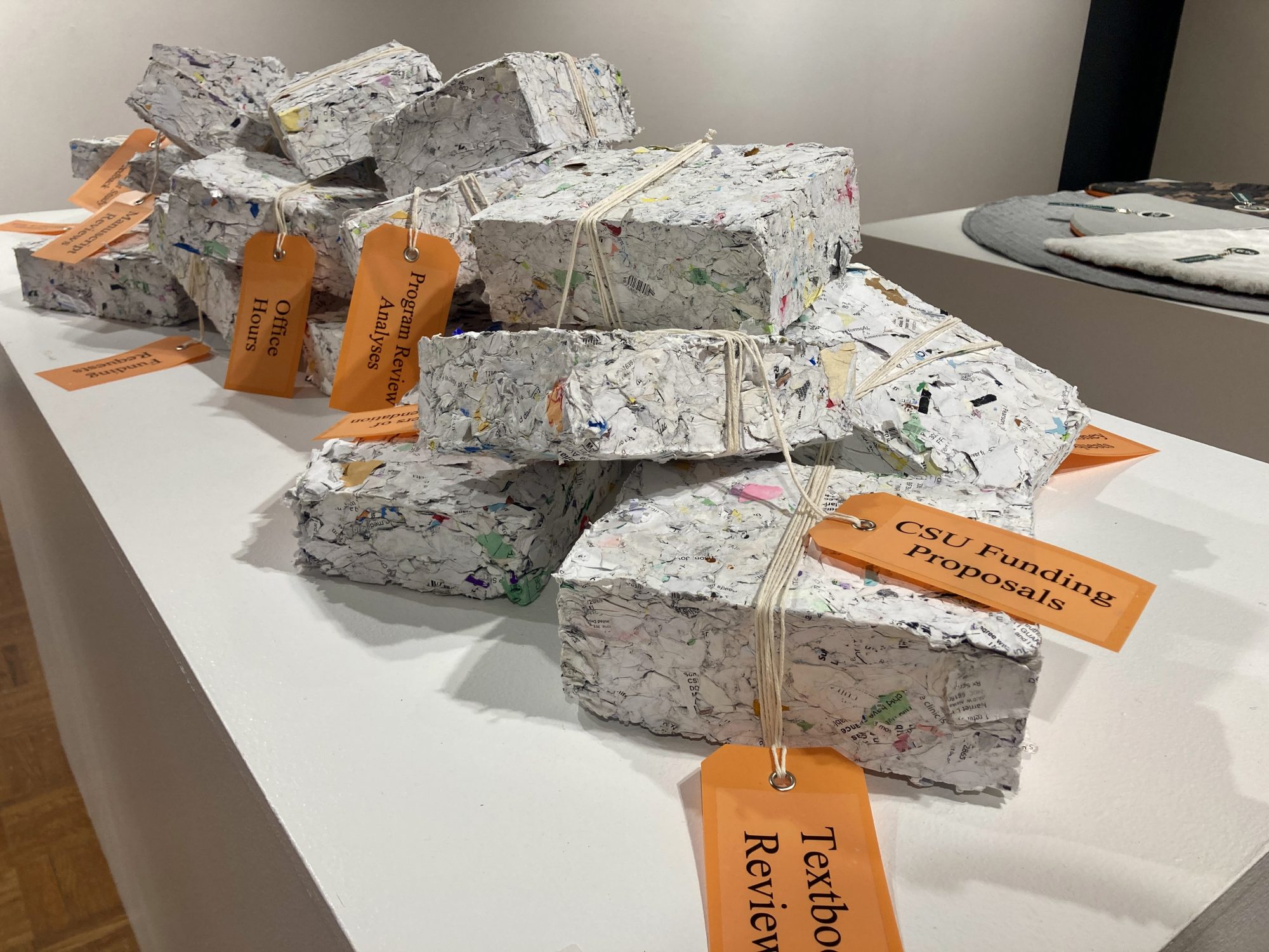 Knowing Her: Women’s Work & Leadership at CSU, 1925-2025