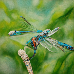 Quickening: Aesthetic Encounter and the Ecological Imagination