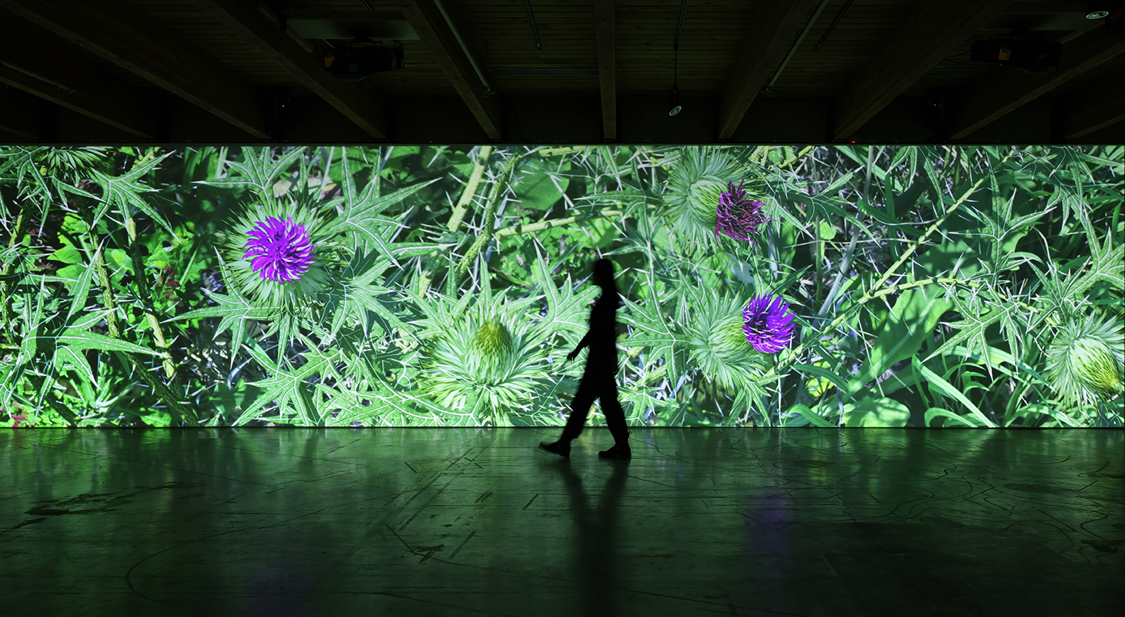 Quickening: Aesthetic Encounter and the Ecological Imagination