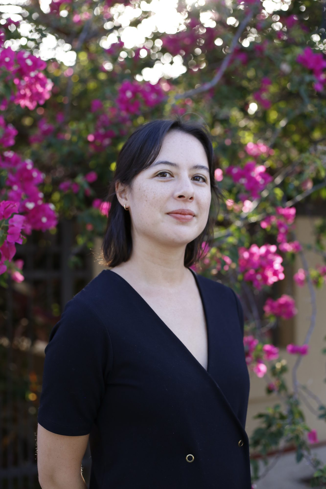 The Role of the Curator by Leilani Lynch