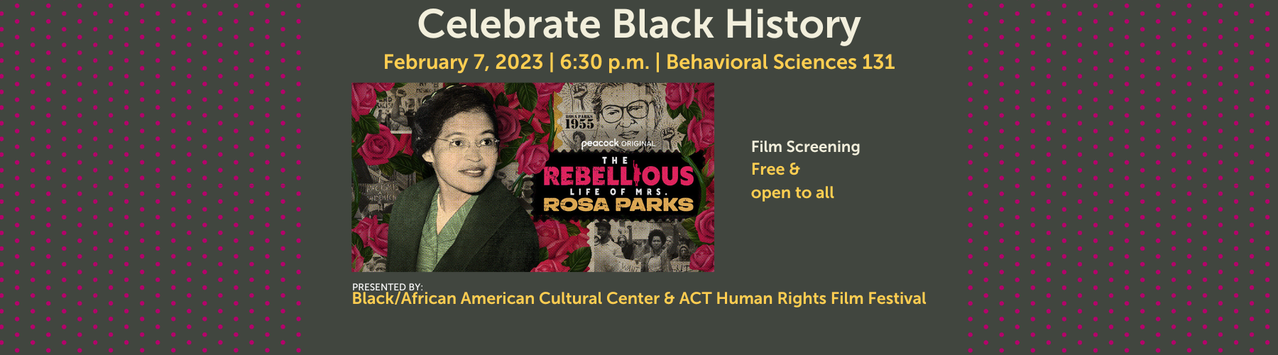 Film screening: The Rebellious Life of Mrs. Rosa Parks
